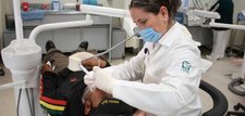 Images_102375_thumb_43