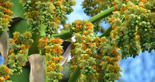 Images_127991_thumb_1
