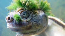Images_129595_thumb_63