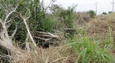 Images_130757_thumb_1
