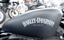 Images_134353_thumb_harley-davidson-reuters_0_61_1075_669