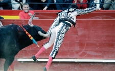 Images_153899_thumb_torero-enrique-ponce-resulta-gravemente