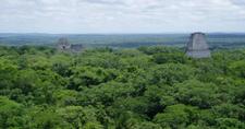 Images_161200_thumb_biosfera-1560529381
