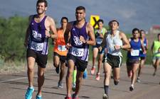 Images_164366_thumb_polo_carrera