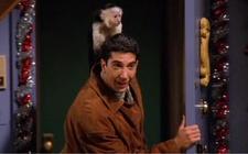 Images_166412_thumb_marcel-y-ross-geller-nbc