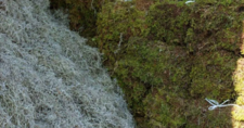 Images_172252_thumb_eno-1576537413