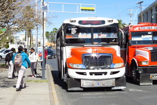 Images_174749_thumb_img_0807