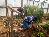 Images_177626_thumb_ocupacion_temporal_vivero