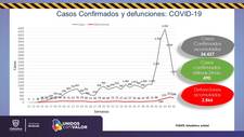 Images_180242_thumb_grafico