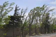 Images_182623_thumb_vientos-chih