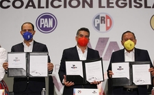 Images_184867_thumb_candidatos-de-va-por-mexico