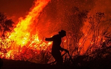 Images_188080_thumb_indonesia-bombero-busca-extinguir-incendio