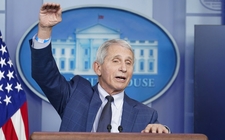 Images_189970_thumb_anthony-fauci-principal-asesor-medico-1_0_9_1024_637