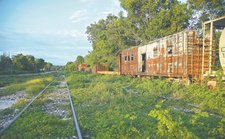 Images_191244_thumb_tren_maya