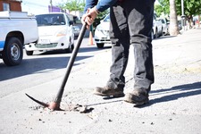 Images_203043_thumb_foto_bacheo