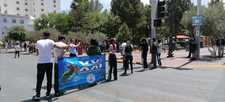 Images_203229_thumb_foto_jovenes