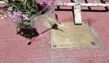 Images_203414_thumb_foto_marisela_escobedo