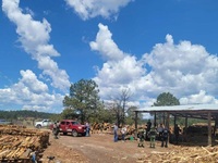 Images_203571_thumb_lll