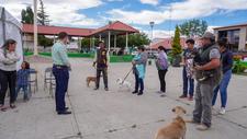 Images_203994_thumb_campa%c3%b1a_canina