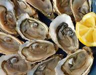 Images_204179_thumb_n2.2