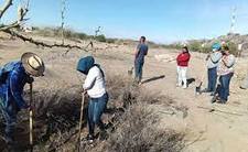 Images_204984_thumb_n1.1