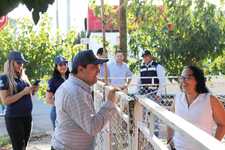 Images_206124_thumb_chihuahua_sin_fugas_(02)