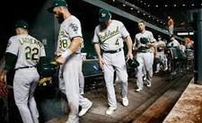 Images_207693_thumb_images_(1)