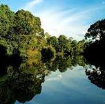 Images_207927_thumb_i2.4