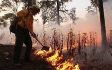 Images_211809_thumb_incendios