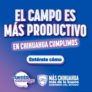 Images_221112_original_save_20260209_173832