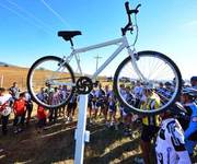 Images_39529_thumb_47