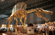 Images_43780_thumb_9