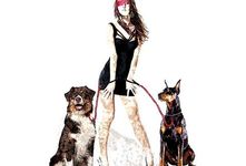 Images_50433_thumb_47