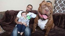 Images_54911_thumb_44