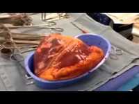 Images_63908_thumb_46