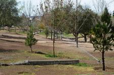 Images_78045_thumb_37