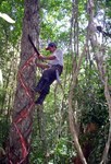 Images_8455_thumb_11
