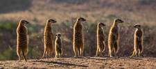 Images_91160_thumb_22